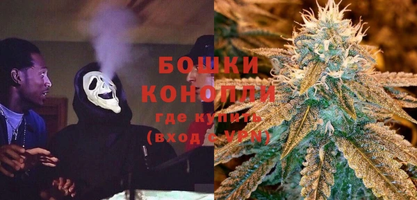 эйфоретик Покачи
