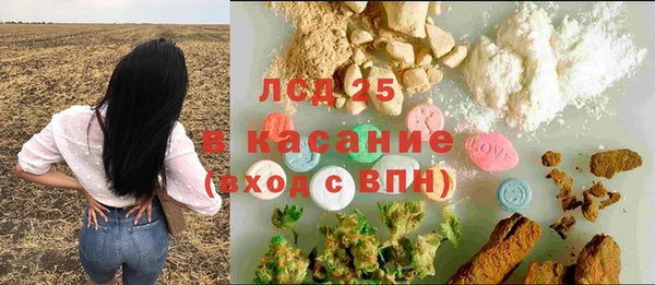 эйфоретик Покачи