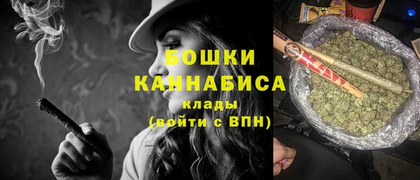 эйфоретик Покачи