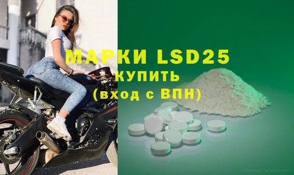 эйфоретик Покачи