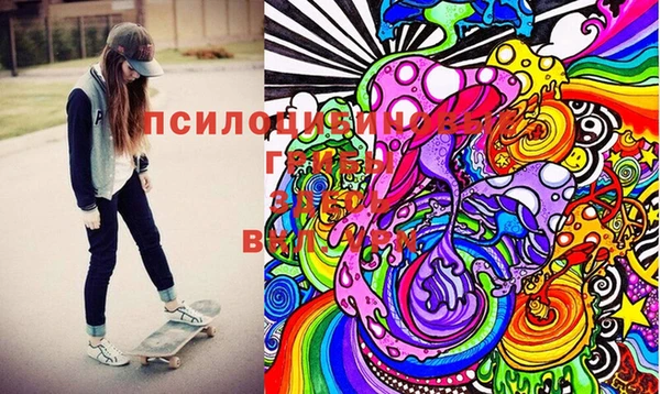 эйфоретик Покачи