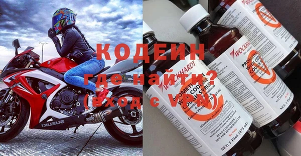 эйфоретик Покачи