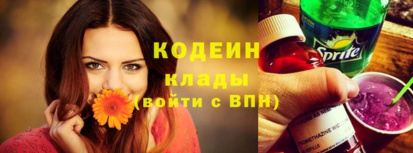 эйфоретик Покачи