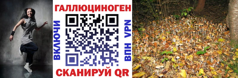 Галлюциногенные грибы MAGIC MUSHROOMS  Таруса 